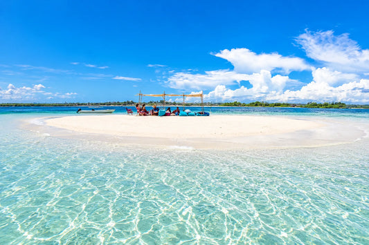 Funzi Sandbank & Mangrove Tour